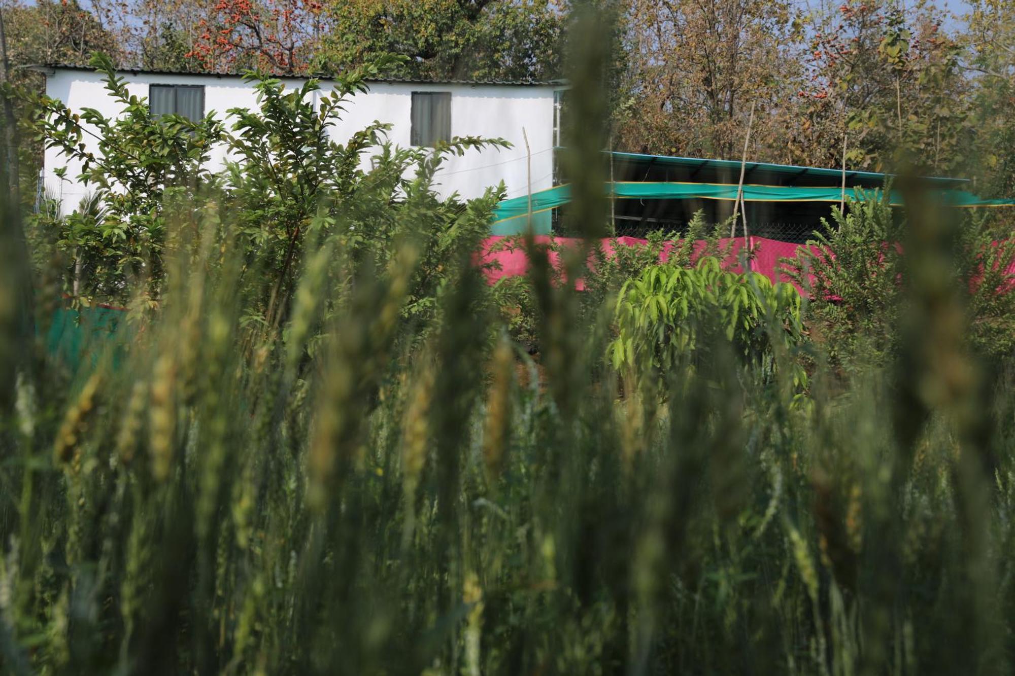 Villa Anjani Farms Nagpur Exterior foto